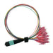 EAN 7630049611795 - VALUE 21.99.1100 Cable de fibra óptica e InfiniBand 2 m MPO 12x LC Multicolor imagen 1