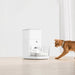 EAN 6972884750941 - CATLINK Fresh 2 Standard comedero y bebedero para perro y gato Acrilonitrilo butadieno estireno (ABS) Bla imagen 11