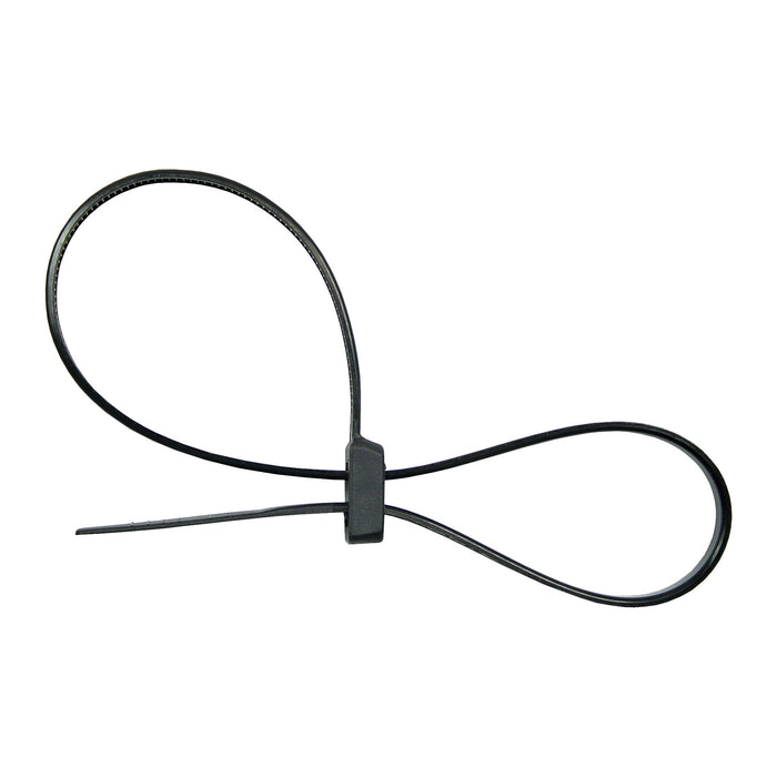 EAN 4043718175253 - InLine 59976S presilla Nylon Negro 100 pieza(s) imagen 2
