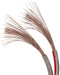 EAN 4040849677229 - Goobay 67722 cable de audio 50 m Transparente imagen 2