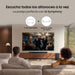 EAN 8806097942573 - Samsung TQ55QN80HAUXXC Televisor 139,7 cm (55") 4K Ultra HD Wifi Carbono imagen 7
