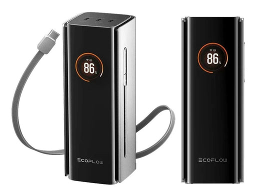 EAN 4895251641289 - EcoFlow RAPID Pro 20000 mAh Litio Negro imagen 2