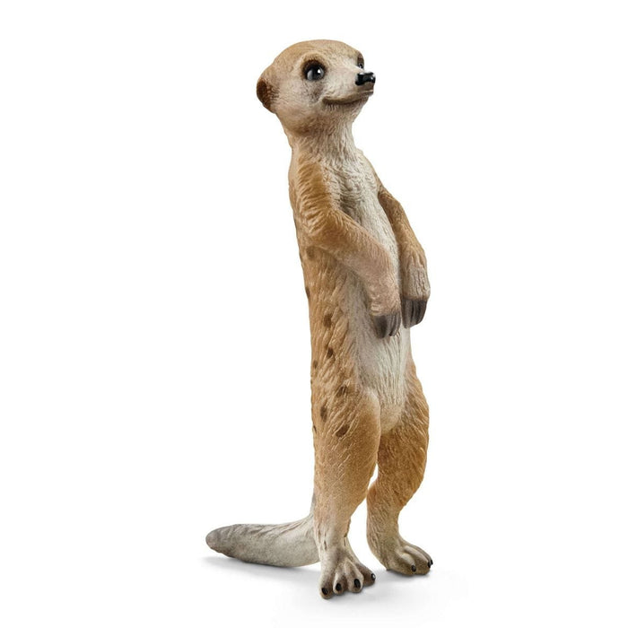 EAN 4055744029820 - schleich Vida Salvaje 42475 set de juguetes imagen 12