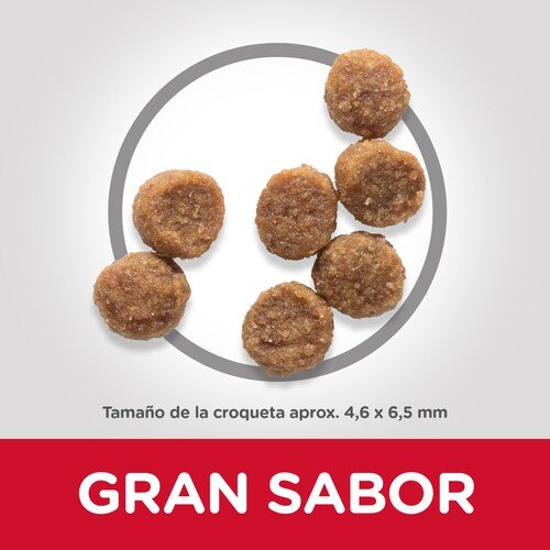 EAN 0052742281803 - Hills 604345 comida seca para perros 3 kg Cachorro Pollo imagen 3
