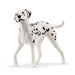 EAN 4059433720098 - schleich 42639 set de juguetes imagen 16