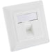 EAN 4043718275892 - InLine 76201Y caja de tomacorriente RJ-45 Blanco imagen 1