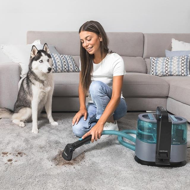 EAN 8435484084253 - Cecotec Conga 4000 Carpet&Spot Clean XL máquina de limpieza de alfombras De mano Seca y húmeda Gris imagen 4