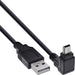 EAN 4043718207831 - InLine 34110 cable USB USB 2.0 1 m USB A Mini-USB B Negro imagen 1