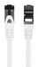 EAN 5901969440690 - Lanberg PCF8-10CU-0300-W cable de red Blanco 3 m Cat8.1 S/FTP (S-STP) imagen 2