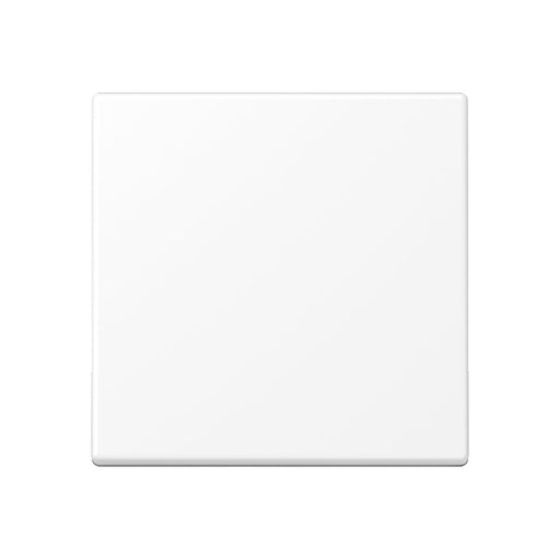 EAN 4011377186187 - JUNG A590WWM placa de pared y cubierta de interruptor imagen 1