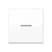 EAN 4011377182240 - JUNG AS101KO5WW placa de pared y cubierta de interruptor imagen 1