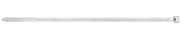 EAN 4006209874813 - Fischer BN 3.6 x 150 presilla Brida de entrada paralela Nylon Transparente 100 pieza(s) imagen 1