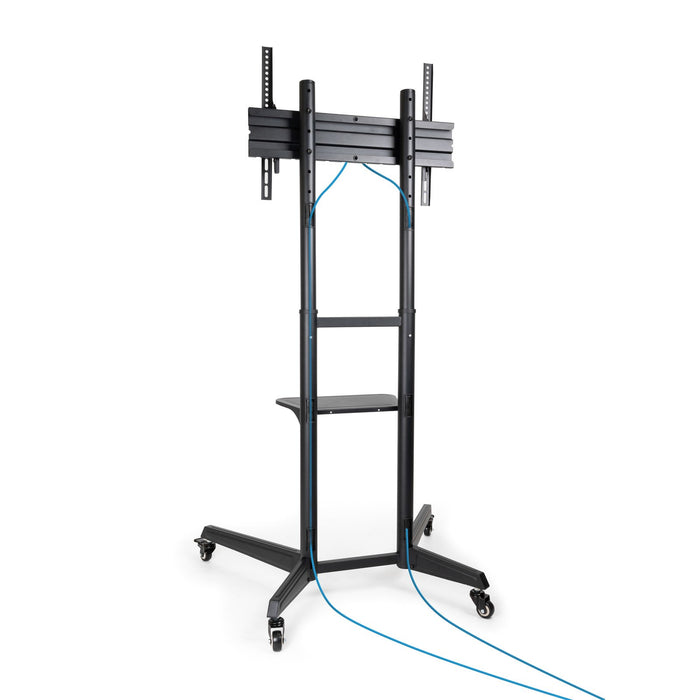 EAN 8433281013391 - TooQ Ramsés 177,8 cm (70") imagen 2