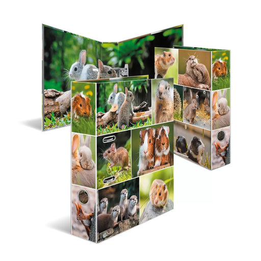 EAN 4008705192521 - HERMA 19252 carpeta de cartón A4 Multicolor imagen 1