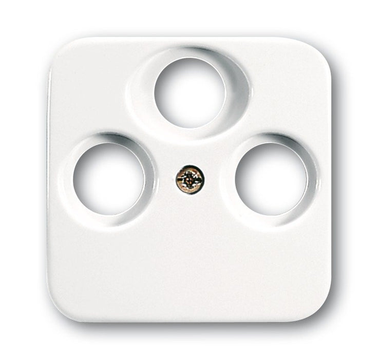EAN 4011395538005 - Busch-Jaeger 1724-0-1754 placa de pared y cubierta de interruptor Blanco imagen 1