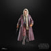 EAN 5010996274908 - Star Wars The Black Series Jod Na Nawood imagen 11