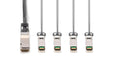 EAN 4016032484981 - Digitus DN-81321 Cable de fibra óptica e InfiniBand QSFP+ 4x SFP+ Negro imagen 3