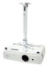 EAN 5907731310611 - Avtek International 1MVEM2 montaje para projector Techo Blanco imagen 2