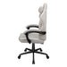 EAN 4711649770983 - COUGAR CGR-FXF-ASW Silla para videojuegos universal Asiento acolchado Ceniza imagen 4