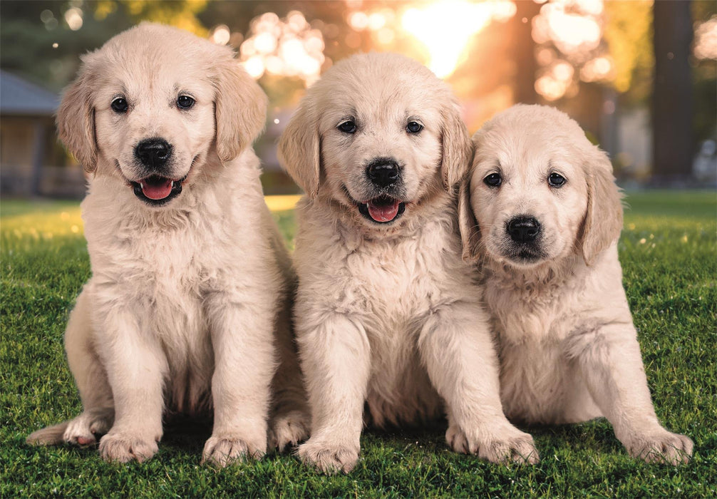 EAN 8005125248209 - Clementoni 24820 puzzle imagen 3