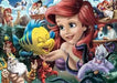 EAN 4005555005674 - Ravensburger 12000567 puzzle Puzzle rompecabezas 1000 pieza(s) Dibujos imagen 2