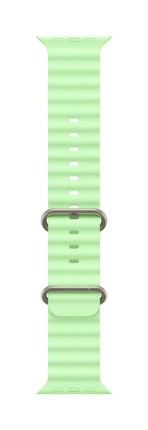 EAN 0195950648317 - Apple Natural Titanium Finish Grupo de rock Verde Fluoroelastómero, Titanio imagen 1