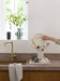 EAN 8710755252082 - Brabantia 252082 organizador y escurreplatos para menaje de cocina Estante Mesa imagen 5