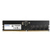 EAN 4711085936479 - ADATA Premier módulo de memoria 32 GB 1 x 32 GB DDR5 288-pin DIMM ECC imagen 1
