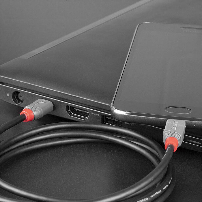 EAN 4002888368919 - Lindy 36891 cable USB USB 2.0 1 m USB C Micro-USB B Negro, Gris imagen 3