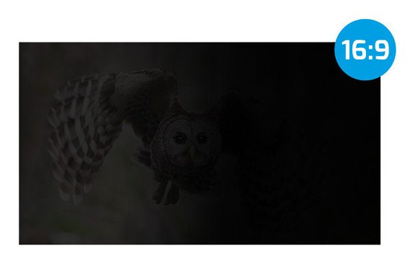 EAN 5901969446043 - NATEC NFP-2288 filtro para monitor 43,9 cm (17.3") Pantalla/Portátil Filtro de privacidad para pantallas  imagen 4