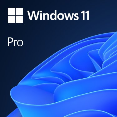 EAN 889842905885 - Microsoft Windows 11 Pro 1 licencia(s) imagen 1