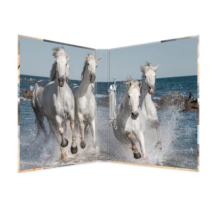 EAN 4008705194297 - HERMA 19429 carpeta de cartón A4 Multicolor imagen 3