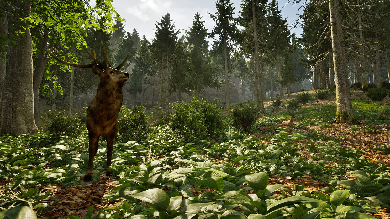 EAN 4015918166201 - Aerosoft Park Ranger Simulator imagen 13