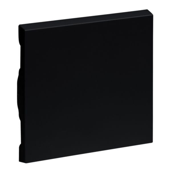 EAN 3414972543392 - Legrand 765306 placa de pared y cubierta de interruptor Negro imagen 1
