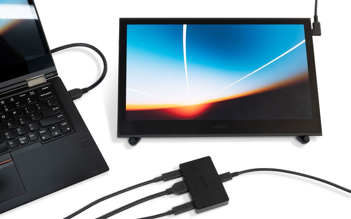 EAN 4949268793377 - Wacom ACK45219Z Adaptador gráfico USB Negro imagen 2