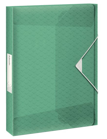 EAN 4049793053196 - Esselte 626265 caja archivador 350 hojas Verde Polipropileno (PP) imagen 1