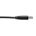EAN 37332214140 - Tripp Lite U428-003-CRA cable USB USB 3.2 Gen 1 (3.1 Gen 1) 0,9 m USB C USB A 5 Gbit/s Negro imagen 5