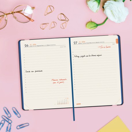 EAN 8422952406211 - Finocam 883580426 agenda Agenda diaria Multicolor imagen 3