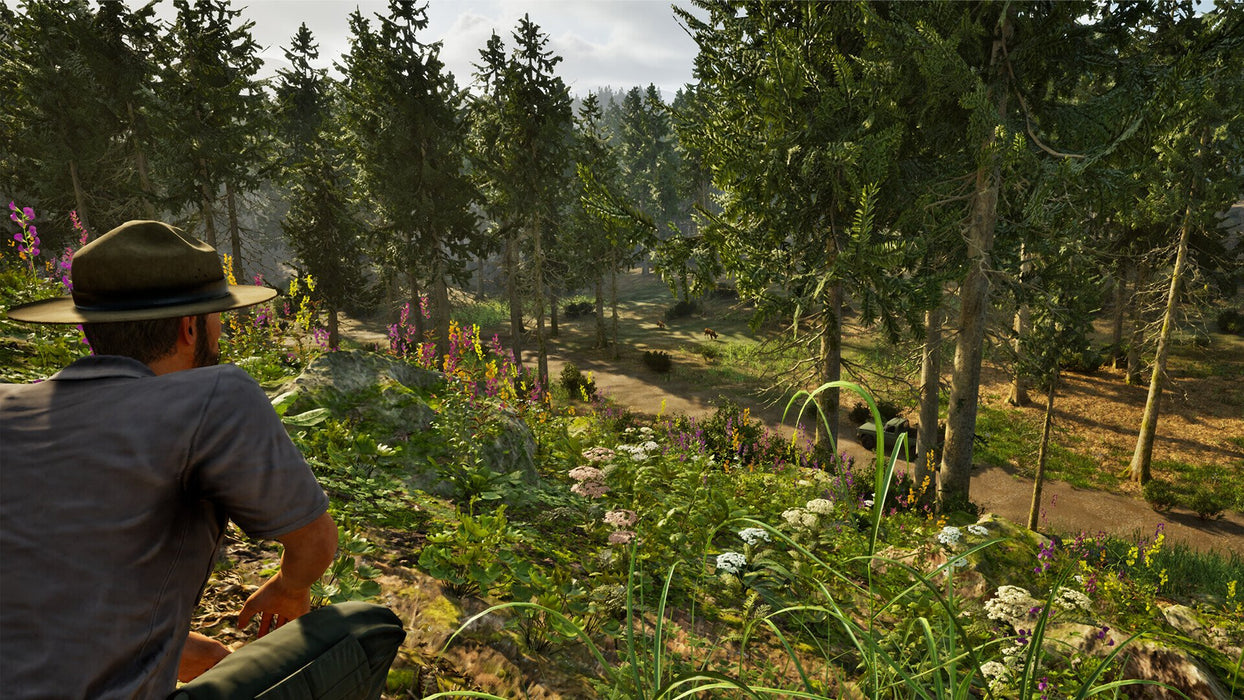 EAN 4015918166201 - Aerosoft Park Ranger Simulator imagen 9