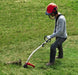 EAN 4006825643800 - Einhell GC-PT 2538/1 I AS 600 W Gasolina Negro, Gris, Rojo imagen 5