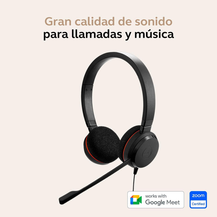 Jabra Evolve 20 - Auriculares - Usb-C/A - Negro
