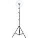 EAN 8435364317235 - iggual IGG317235 tripode Sistema de iluminación 3 pata(s) Negro imagen 1