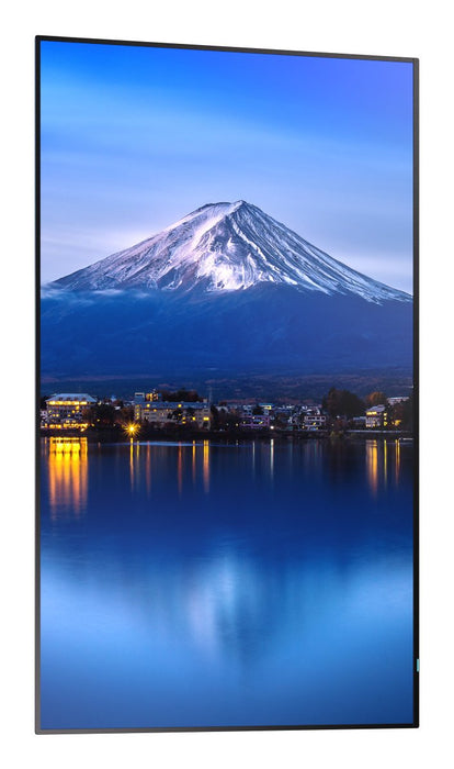 EAN 4550556131070 - Sharp MultiSync P656 Diseño de quiosco 163,8 cm (64.5") LCD 700 cd / m² 4K Ultra HD Negro Procesador inco imagen 12