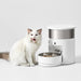 EAN 6973293801514 - PETKIT Fresh Element Infinity comedero y bebedero para perro y gato Acrilonitrilo butadieno estireno (ABS imagen 2