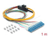 EAN 4043619910502 - DeLOCK 91050 Cable de fibra óptica e InfiniBand 1 m 12x LC Pigtail Naranja imagen 1