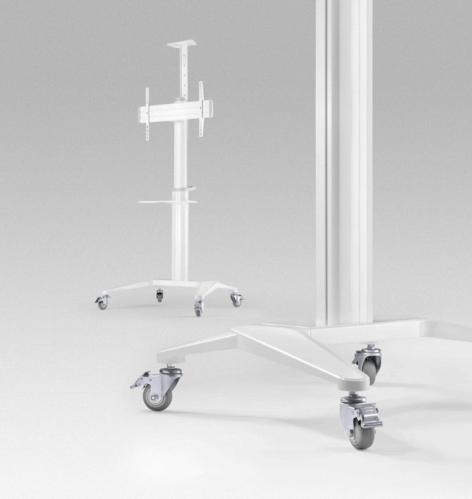 EAN 8716309128995 - Gembird Aluminum TV floor stand with caster wheels, 37\" - 70\", baltas | imagen 8