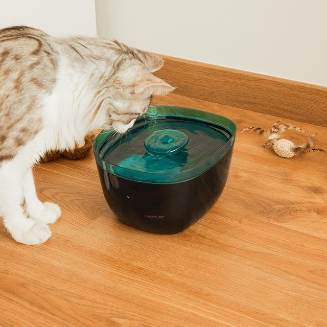 EAN 8435484095617 - Cecotec Pumba 2200 Refresh comedero y bebedero para perro y gato Plástico Negro, Azul Universal Bebedero  imagen 7