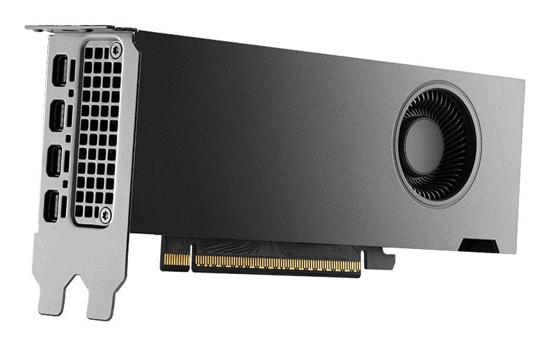 EAN 3536403404185 - PNY RTX PRO 4000 Blackwell NVIDIA 24 GB GDDR7 imagen 3