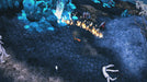 EAN 9120131604050 - THQ Nordic Sacred 2 Remaster imagen 4