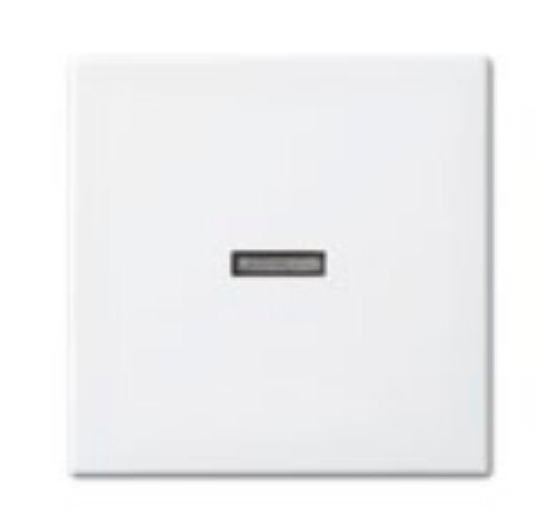 EAN 4011395190272 - Busch-Jaeger 1731-0-2009 placa de pared y cubierta de interruptor Blanco imagen 1
